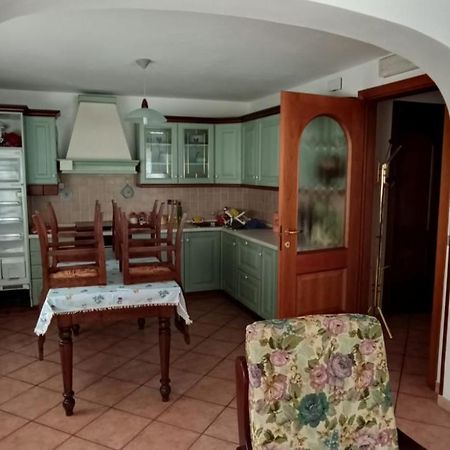 Casa Gonano Villa Prato Carnico Eksteriør billede